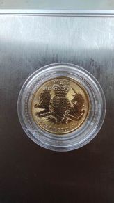 gold coin 3.1