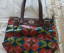 Fossil Handbag
