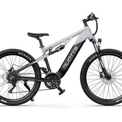 DUOTTS E29 Electric Bike