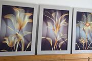 3 pictures with frame 53x72 cm each