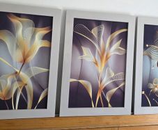 3 pictures with frame 53x72 cm each