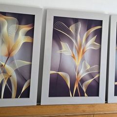 3 pictures with frame 53x72 cm each