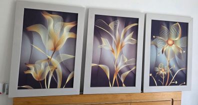 3 pictures with frame 53x72 cm each