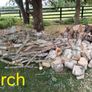Firewood Image 3