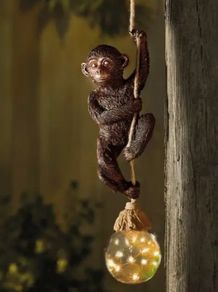 Solar Lights