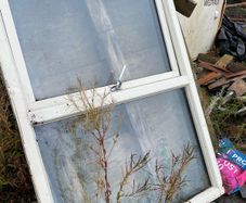 window