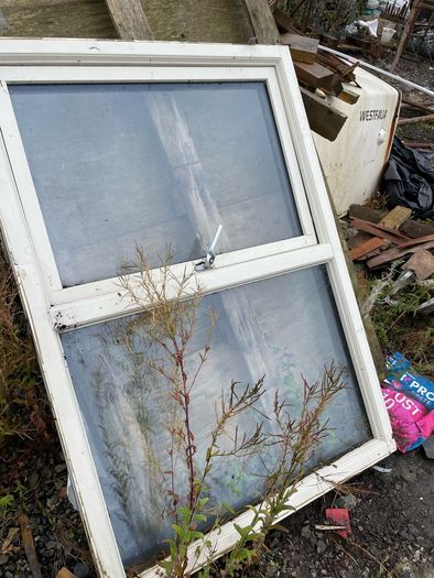 window