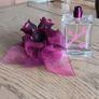 EMPTY Decorative Vera Wang Perfume Bottle Image 3