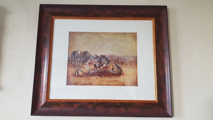 2 Piece Vanessa Jayne Large Wooden And Glass Framed Prints - Lion Family And Zebra Family