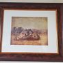 2 Piece Vanessa Jayne Large Wooden And Glass Framed Prints - Lion Family And Zebra Family Image 5