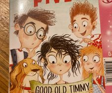 A collection of girls Books. (10)