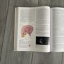 Vander's Human Physiology 11th edition Image 2