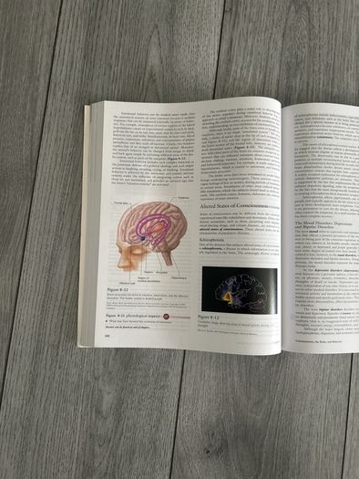 Vander's Human Physiology 11th edition