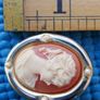 Vintage Shell Cameo Brooch Gold Tone Frame, Pin, Ivory, Salmon, Feminine, Collectible, Jewelry Image 6