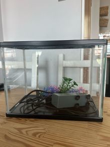 fish tank