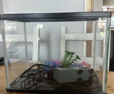 fish tank