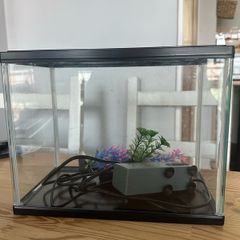 fish tank