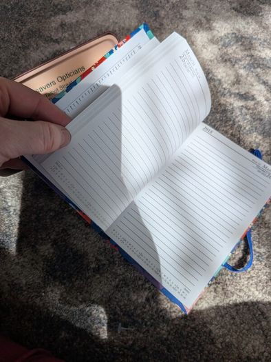 old diary never used