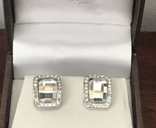Absolute Earrings - New / Boxed