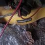 lawnmower Image 2