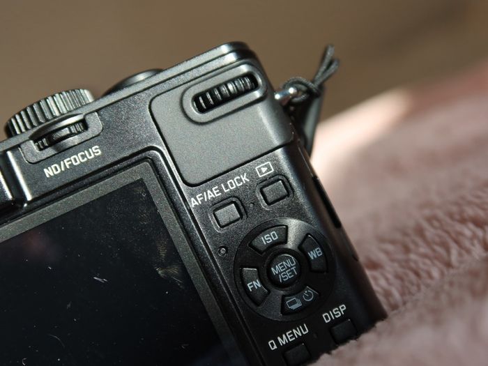 leica dlux 6