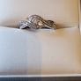 engagement ring Image 4