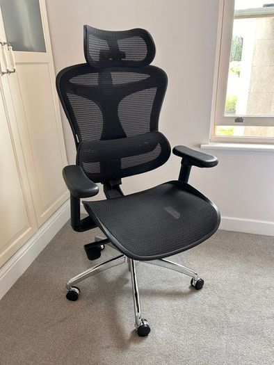 Sihoo Doro C300 Ergonomic Office Chair with Lumbar Support Like New