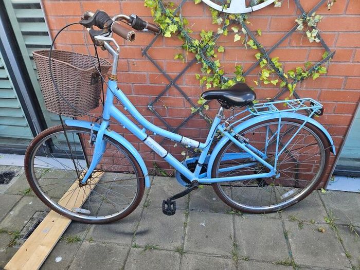ladys bike