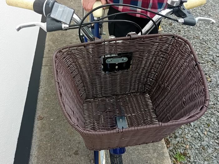 Ladies Bicycle