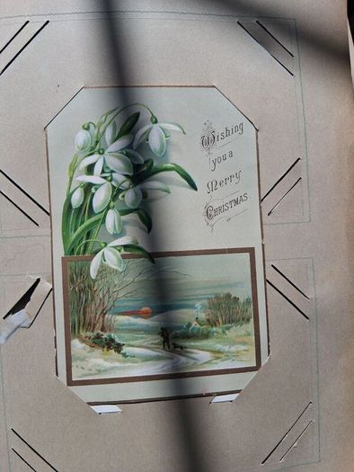 Mega Art Nouveau Postcard Album (197 Pieces)