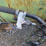 Bike Image 3