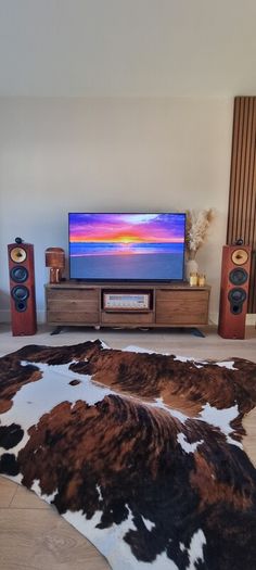 Bowers and wilkins nautilus 804s
