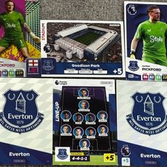 5 Everton match attax cards