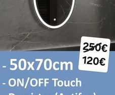 LED Bathroom Mirror Antifog 50x70cm Oval