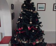Free to go 6ft Christmas tree