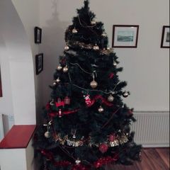 Free to go 6ft Christmas tree