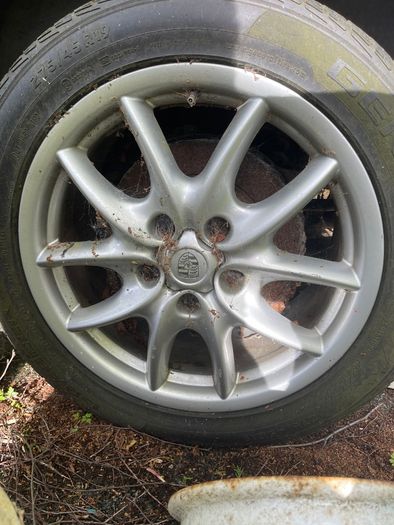 Alloys of cayenne 955