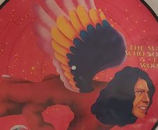 Album The Man who sold the world Picture Disc.