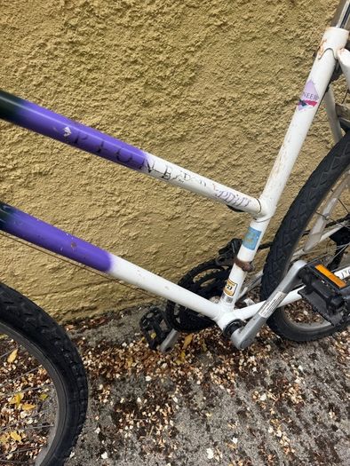 Raleigh Pioneer