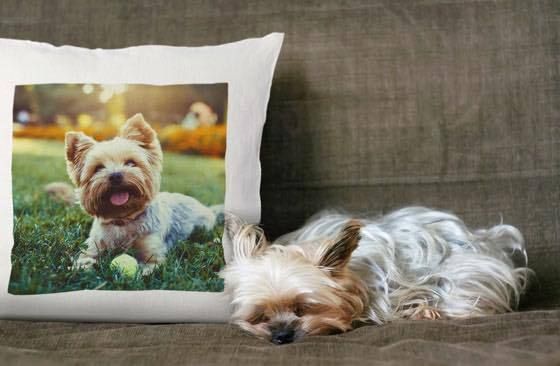Photo Cushion cover can be personalised with text and photo