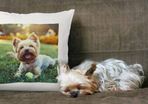 Photo Cushion cover can be personalised with text and photo