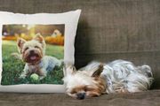 Photo Cushion cover can be personalised with text and photo