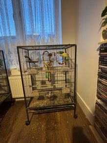 Bird Cage
