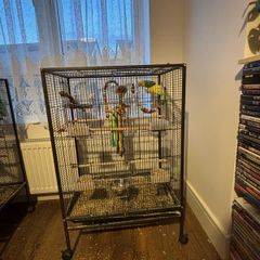 Bird Cage