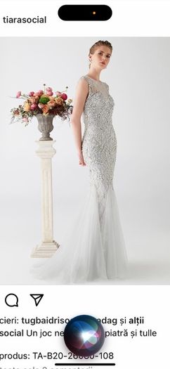 Debs/ dress