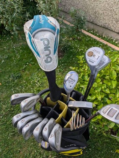 Gorgeous glitter effect woman's golf clubs ping etc
