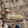 Doublet R Folding Spring Tine Harrow & seed drill Image 3