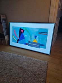 Lg OLED 55 Faulty