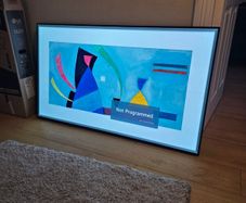 Lg OLED 55 Faulty