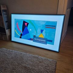 Lg OLED 55 Faulty